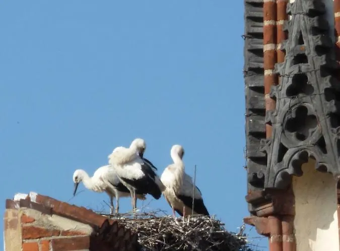 & Ferienwohnung Zum Schmuckgiebel Guest house Tangermuende